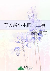 有关洛小姐的二三事