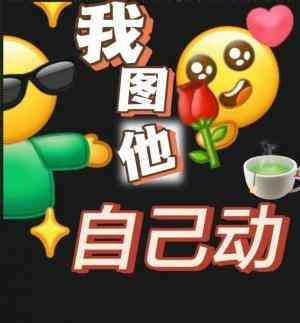 我圖他自己動